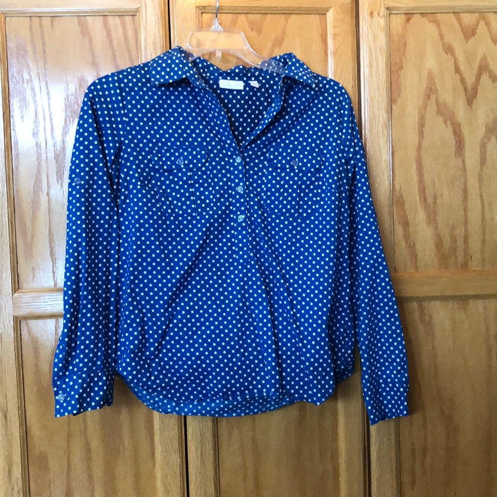 Buttons down blouse, blue and white polka dot.